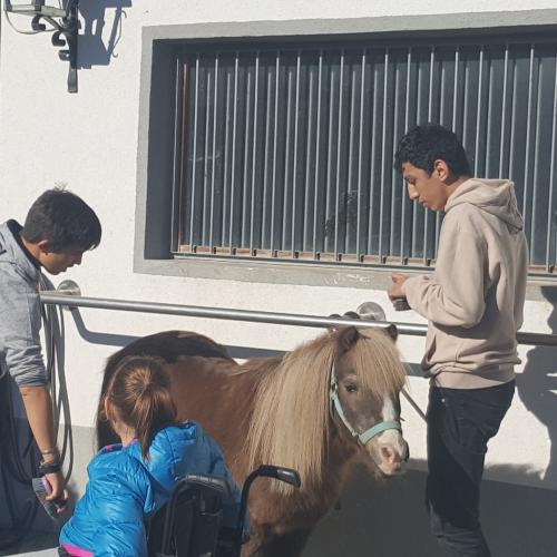 Besuch am Ponyhof - Nachmittagsbetreuung