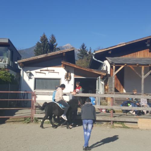 Besuch am Ponyhof - Nachmittagsbetreuung