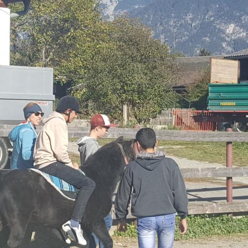 Besuch am Ponyhof - Nachmittagsbetreuung