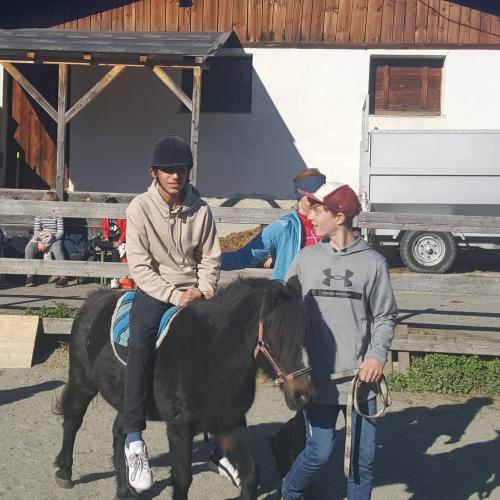 Besuch am Ponyhof - Nachmittagsbetreuung