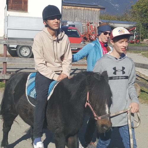 Besuch am Ponyhof - Nachmittagsbetreuung