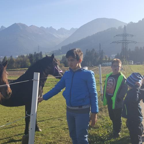 Besuch am Ponyhof - Nachmittagsbetreuung