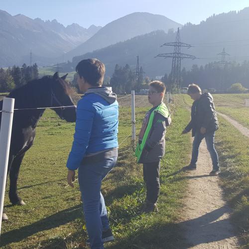 Besuch am Ponyhof - Nachmittagsbetreuung