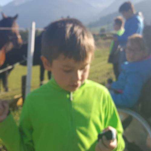 Besuch am Ponyhof - Nachmittagsbetreuung