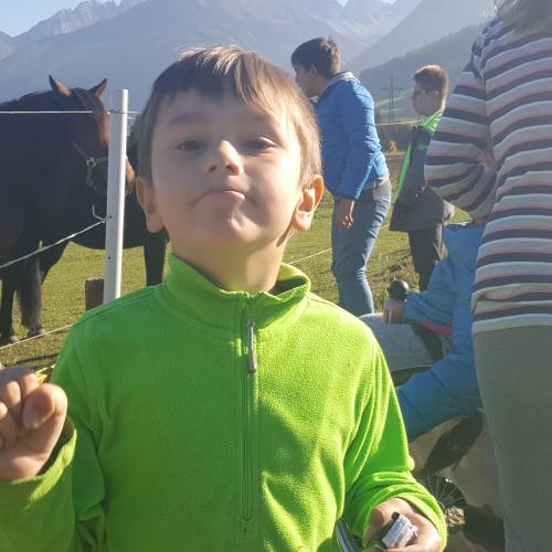 Besuch am Ponyhof - Nachmittagsbetreuung