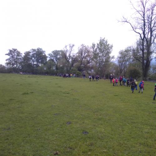 Projekt „Renaturierung Zirl Ost“