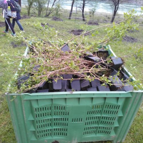 Projekt „Renaturierung Zirl Ost“