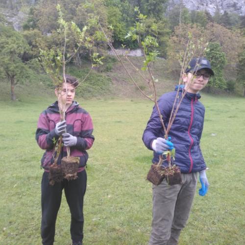 Projekt „Renaturierung Zirl Ost“