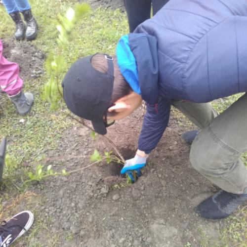 Projekt „Renaturierung Zirl Ost“