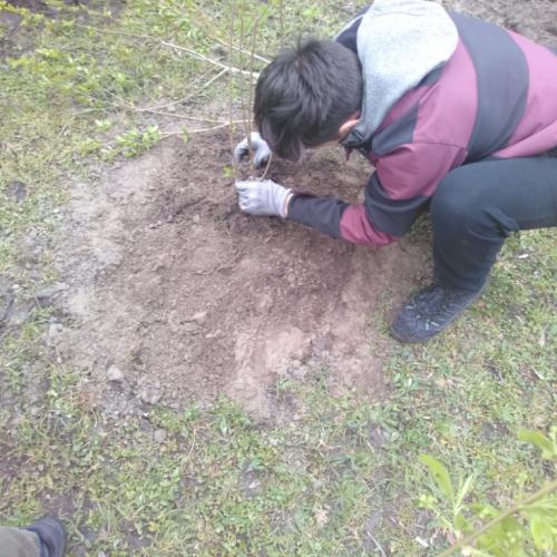 Projekt „Renaturierung Zirl Ost“