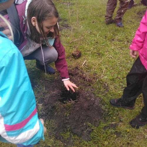 Projekt „Renaturierung Zirl Ost“
