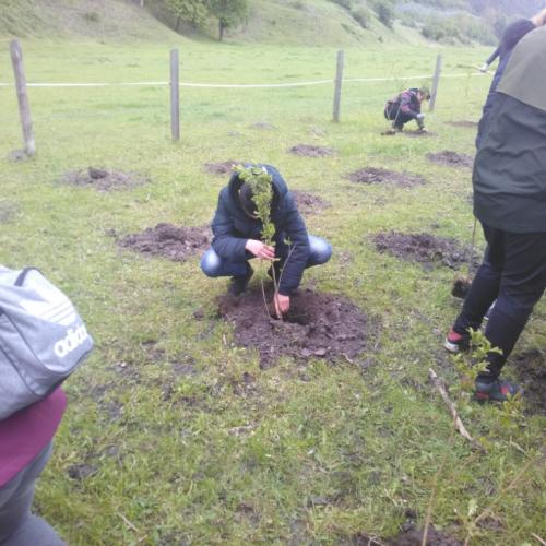 Projekt „Renaturierung Zirl Ost“