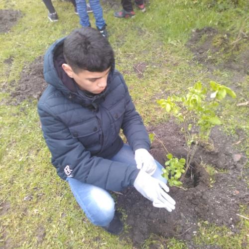 Projekt „Renaturierung Zirl Ost“