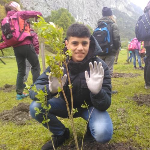 Projekt „Renaturierung Zirl Ost“