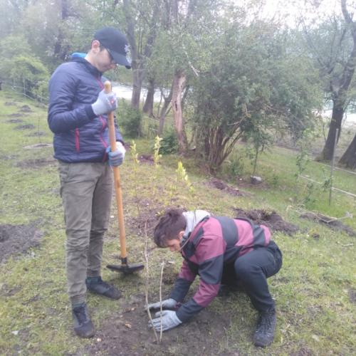 Projekt „Renaturierung Zirl Ost“