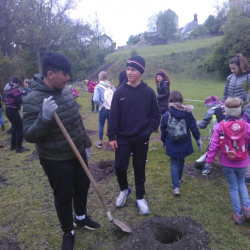 Projekt „Renaturierung Zirl Ost“