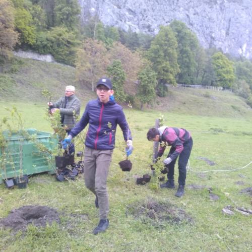 Projekt „Renaturierung Zirl Ost“