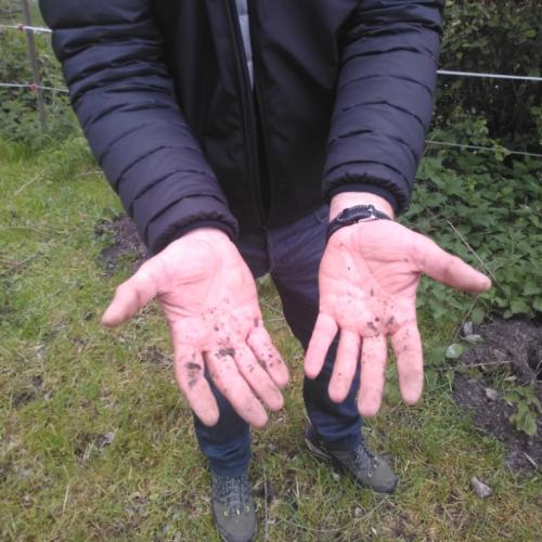 Projekt „Renaturierung Zirl Ost“