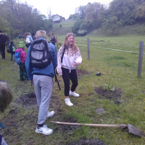 Projekt „Renaturierung Zirl Ost“