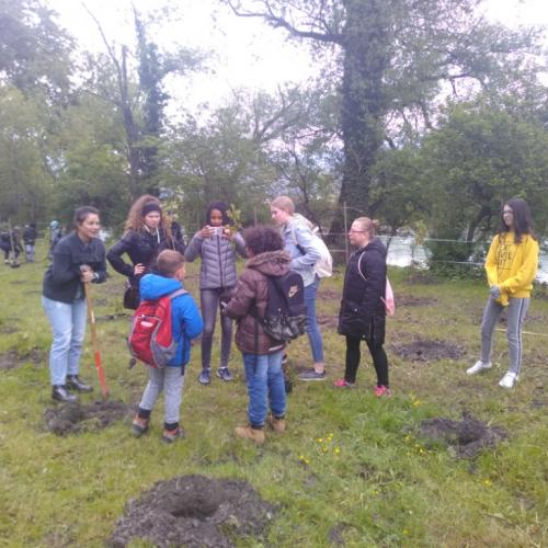 Projekt „Renaturierung Zirl Ost“