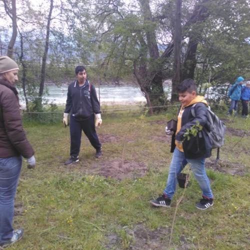 Projekt „Renaturierung Zirl Ost“