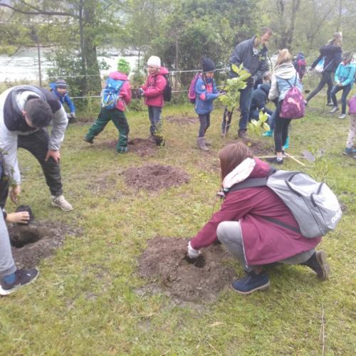 Projekt „Renaturierung Zirl Ost“