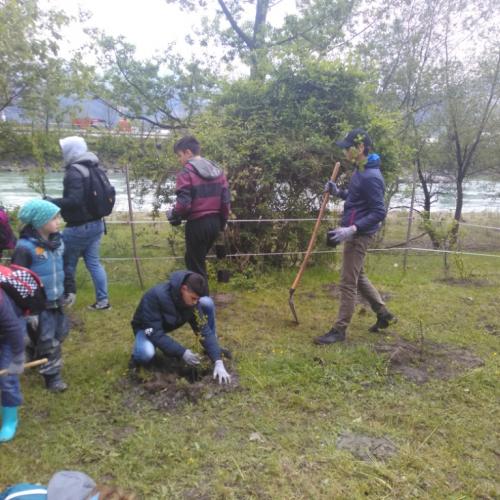 Projekt „Renaturierung Zirl Ost“