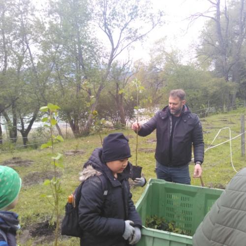 Projekt „Renaturierung Zirl Ost“