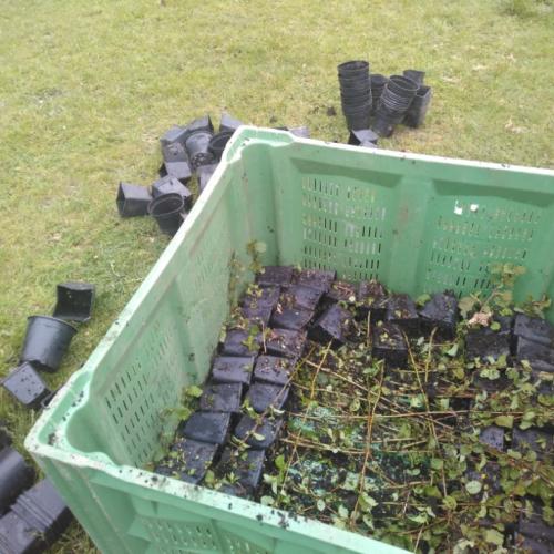 Projekt „Renaturierung Zirl Ost“