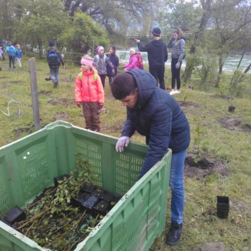 Projekt „Renaturierung Zirl Ost“