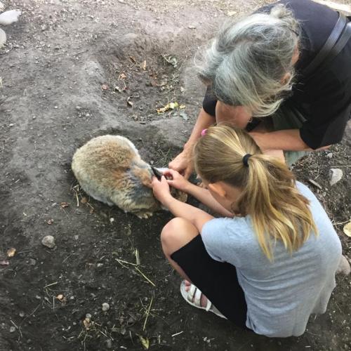 Sommerbetreuung 2019