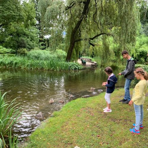 Sommerbetreuung 2019