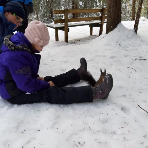 Naturprojekt Seefeld