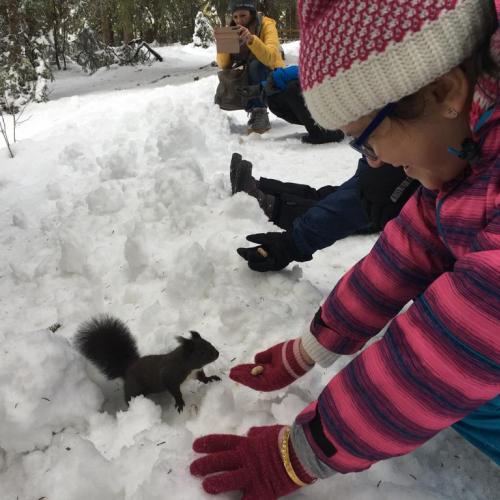 Naturprojekt Seefeld