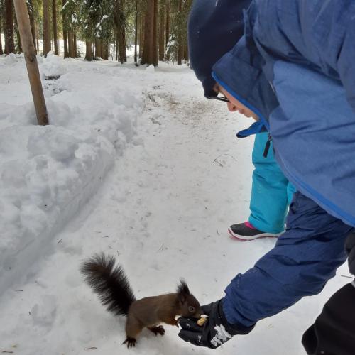 Naturprojekt Seefeld