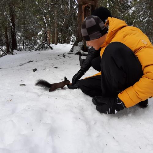 Naturprojekt Seefeld
