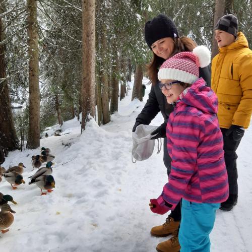 Naturprojekt Seefeld