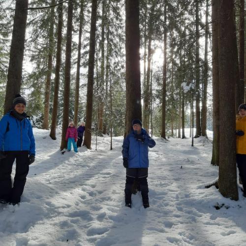 Naturprojekt Seefeld