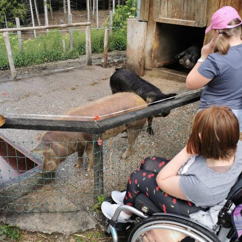 3E am Natterer Boden