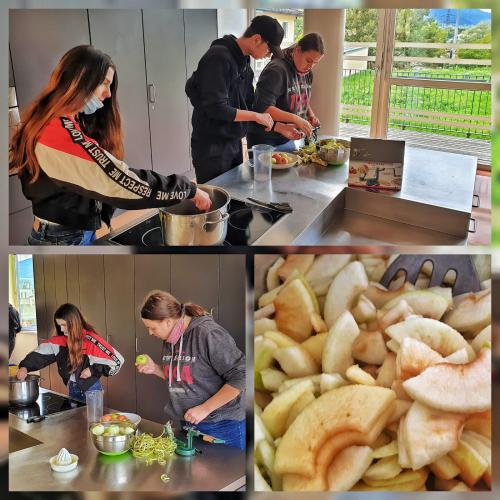 Projekt Apfel: Apfelmus 1ASO