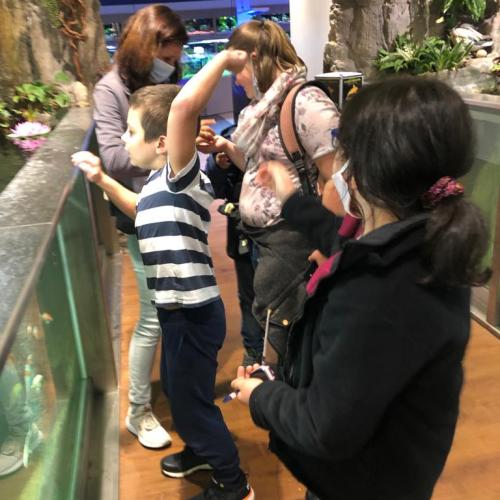 Ausflug zum Zoogeschäft