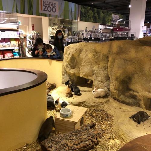 Ausflug zum Zoogeschäft