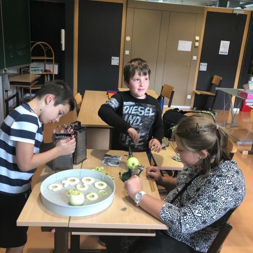 Projekt Apfel: schälen