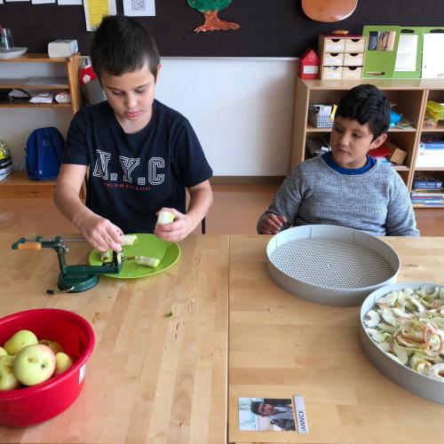 Projekt Apfel: Vorbereitung zum Trocknen