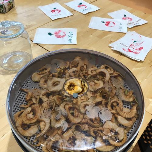 Projekt Apfel: trocknen