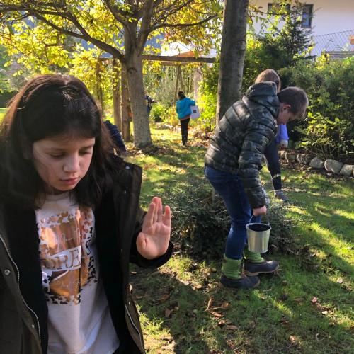 herbstliche Entdeckungsreise