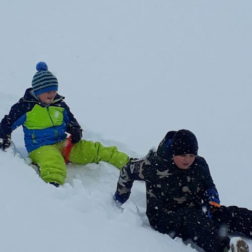 Flockdown in der Schule