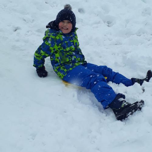 Flockdown in der Schule