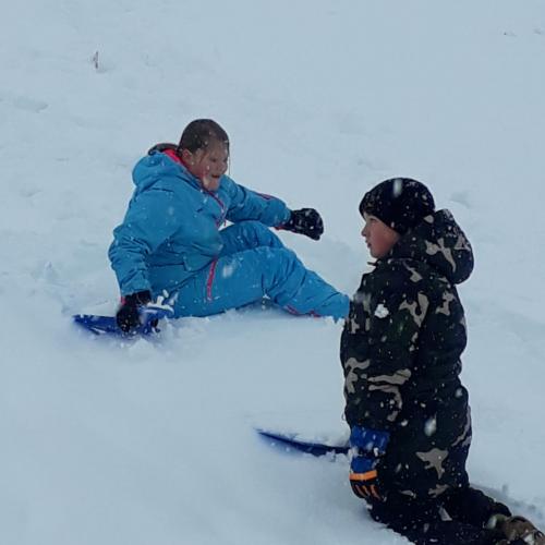 Flockdown in der Schule