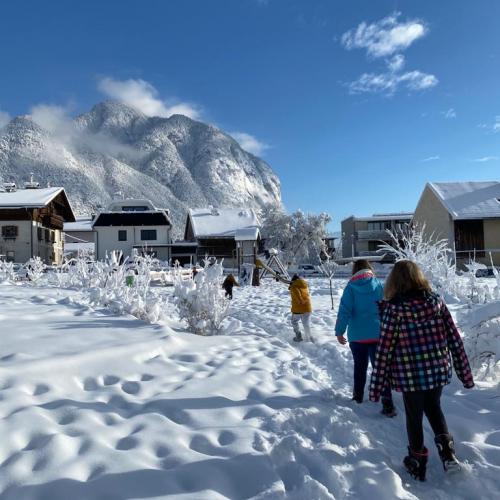 Flockdown in der Schule